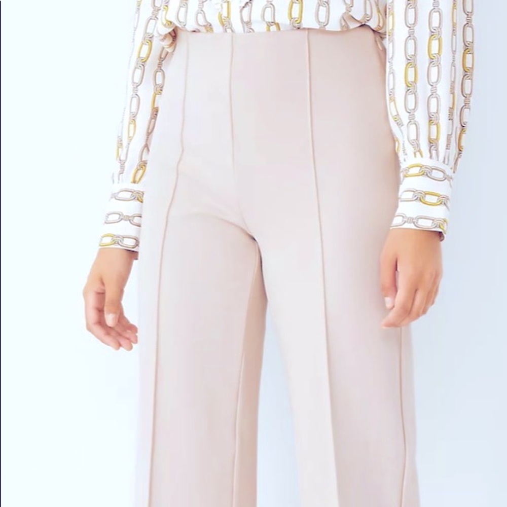 ANN TAYLOR the seamed pant
